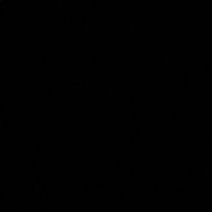 Meet your Posher, Arianna